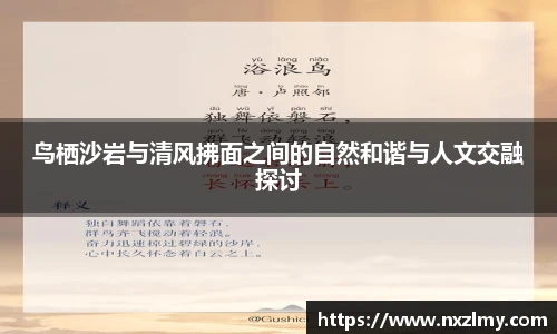 悟空体育鸟栖沙岩与清风拂面之间的自然和谐与人文交融探讨