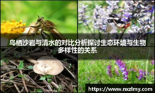 悟空体育鸟栖沙岩与清水的对比分析探讨生态环境与生物多样性的关系